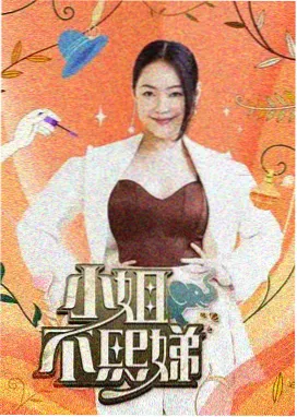 职场观察综艺